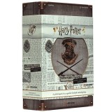 Asmodee Harry Potter Roxforti csata Sötét varázslatok kivédése társasjáték (HPHOGDADA)