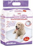 AssorbiPiu kutyapelenka – 60x90 (11 db)