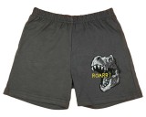 Asti Fiú pamut rövidnadrág dinoszauruszos mintával