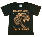 Asti Rövid ujjú fiú póló dinoszauruszos mintával