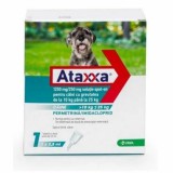 Ataxxa 1250mg/250mg rácsepegtető oldat 10-25kg 1x