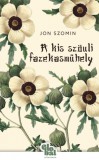 Athenaeum Jon Szomin: A kis szöuli fazekasműhely - könyv