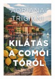 Athenaeum Kiadó Adriana Trigiani: Kilátás a Comói-tóról - könyv