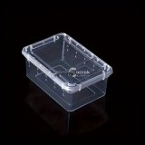 Átlátszó Hüllő hordozó