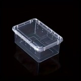 Átlátszó Hüllő hordozó #Átlátszó