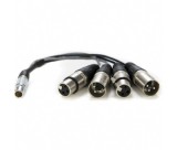 Atomos Lemo to XLR Breakout cable
