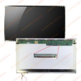 AU Optronics B156XW01 V.1 kompatibilis fényes notebook LCD kijelző