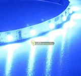 AURORA 60 SMD3528 4,8 W/m beltéri LED szalag, kék 3évG