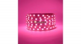 AURORA 60 SMD3528 DC24V 4,8 W/m beltéri LED szalag, pink, rózsaszín 3évG