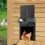 Automata csirkeól ajtó időzítővel