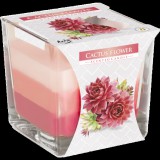 AWM Szivárványos Illatgyertya Üvegben-Kaktuszvirág