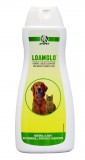 Ayupet Loamglo sampon 200 ml