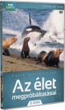 Az élet megpróbáltatásai 3 - DVD