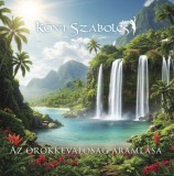 Az örökkévalóság áramlása - CD