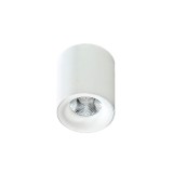 Azzardo Mane mennyezeti lámpa, fehér, 3000K melegfehér, beépített LED, 10W, 850 lm, AZ-2845