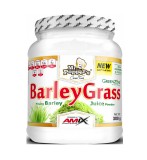 Amix Mr.Popper´s Barley Grass Juice Powder (300 gr.)