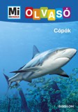 Babilon Kiadó Christina Braun: Cápák - könyv
