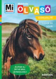 Babilon Kiadó Christina Braun: Lovak és pónik - Mi Micsoda Olvasó - Matricás szövegfejtő - könyv