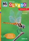 Babilon Kiadó Christina Braun: Rovarok - Mi Micsoda Olvasó - Matricás szövegfejtő - könyv