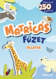 Babilon Kiadó Ilka Röhling: Matricás füzet - Állatok - könyv