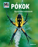 Babilon Kiadó Manfred Baur: Pókok - könyv