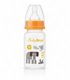 Baby Bruin cumisüveg 120 ml vidám elefánt mintával