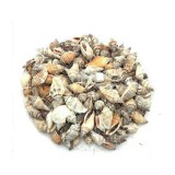 Baking & Pet Kft Akváriumi spirálkagyló dísz csomag – 100g