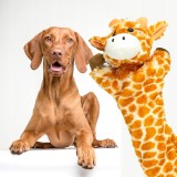 Baking & Pet Kft Csipogó hosszúkás plüss játék kutyáknak -Lusta Zsiráf 70cm