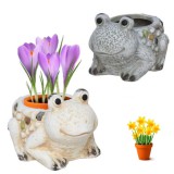 Baking & Pet Kft Dekoratív Békás Virágtartó Cserép - 13cm