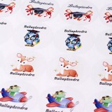 Ballagási matrica 24db-os kiszerelésben DM05-02