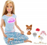 Barbie feltöltődés Meditációs baba kutyussal, fény- és hanghatásokkal