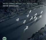 Bartók Impressions - CD