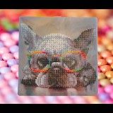 BASIC Gyémántfestő szett, szemüveges francia bulldog, 20 x 20 cm