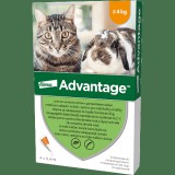 BAYER Advantage 40 spot on nyulaknak és macskáknak (4 kg-ig) (4 db pipeta) 4 x 0.4 ml