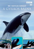 BBC Vadvilág sorozat - A gyilkos bálna - DVD