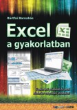 Bbs-Info Bártfai Barnabás: Excel a gyakorlatban - könyv
