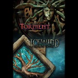 Beamdog Planescape: Torment and Icewind Dale: Enhanced Editions (Xbox One  - elektronikus játék licensz)