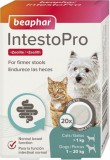 Beaphar IntestoPro hasmenés elleni tabletta 1-20 kg közötti kutyáknak és 1 kg feletti macskáknak (20 tabletta)