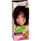Beauty color sense S09 hajfesték keserű csoki