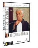 Belmondo - Idegen a házban - DVD