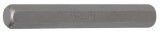 BGS technic Imbusz fej, 10mm, 3/8" hossza: 75mm (BGS 4964)