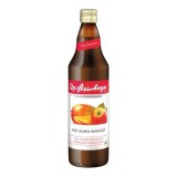 BIO DR.STEINBERGER ALMA MANGÓ ROSTOS GYÜMÖLCSLÉ 750ML