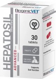 BiogenicVet Hepatosil Advanced tabletta 30 db