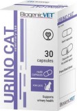 BiogenicVet Urino Cat kapszula 30 db