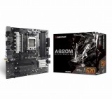 BIOSTAR A620MP-E Pro