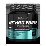BioTech USA Arthro Forte italpor (340 gr.)