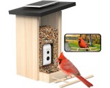 Birdfy Madáretető kamerával, ébenfa, AI