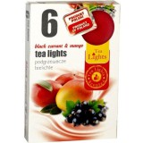 Black currant&mango teamécses 6db-os