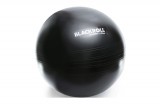 Blackroll Gym Ball 65
