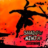 Boogygames Studios Shadow Ninja: Apocalypse (PC - Steam elektronikus játék licensz)